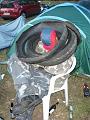 2008.08.08-10 - Limberg 2008 291